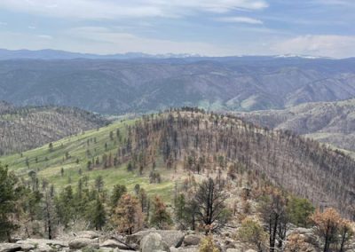Measuring Perceptions of Social-Ecological Systems Resilience in Wildfire-Prone Systems in the Intermountain West