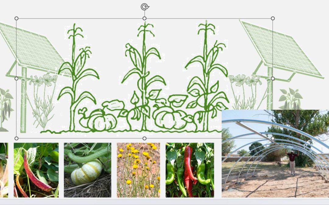 The Feasibility of Controlled Environment Agriculture from the Perspectives of Indigenous Farmers in the Four Corners