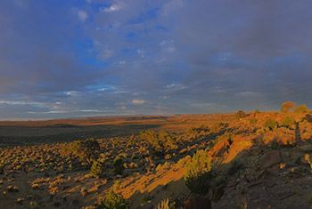 desert landscape