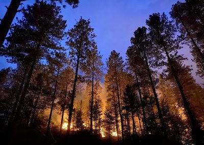Wildfires and Watersheds