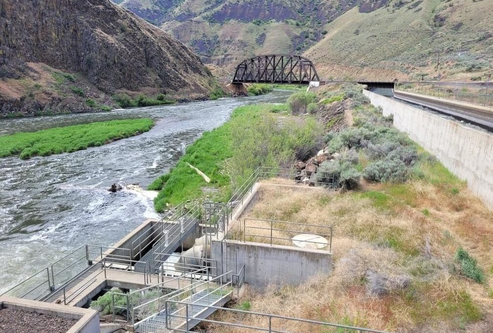 Interdisciplinary Insights: Connecting Water Resources Engineering & Community Wellbeing