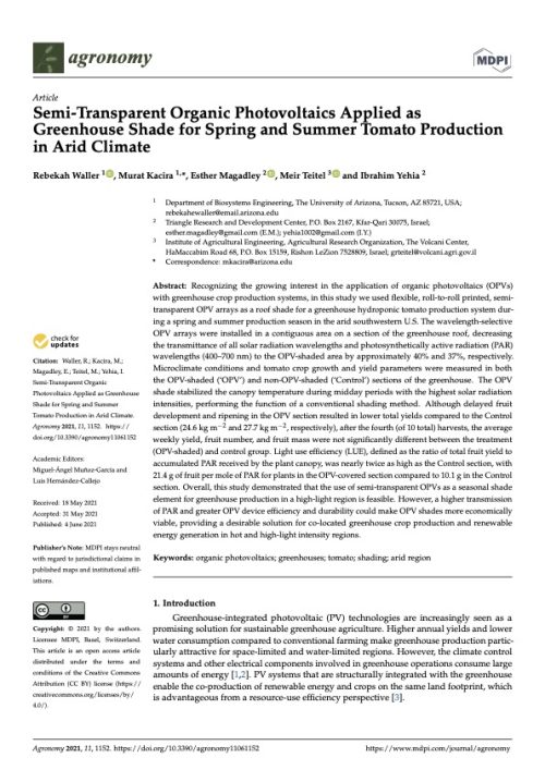 Semi-Transparent Organic Photovoltaics Applied as Greenhouse Shade for Spring and Summer Tomato Production in Arid Climate