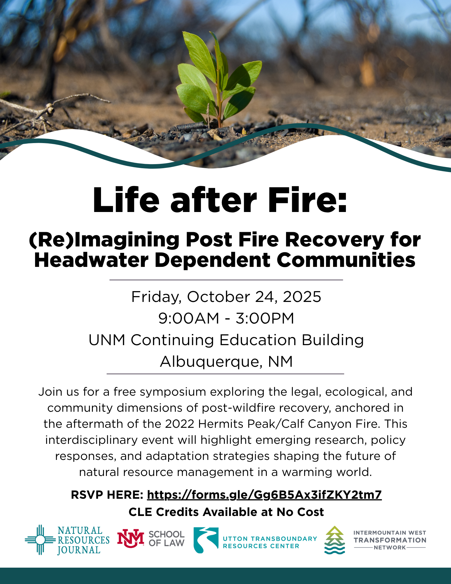 Life After Fire poster