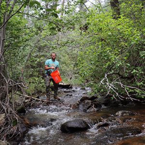 Man working in forest stream