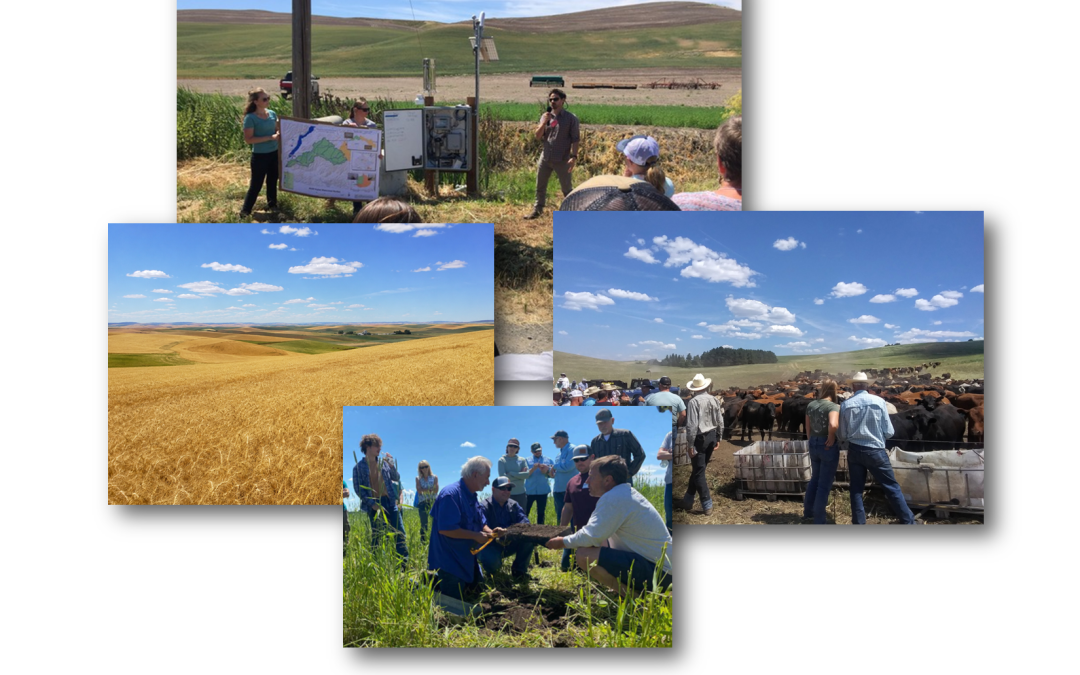 Transforming Agricultural Systems in the Palouse Region of the Intermountain West