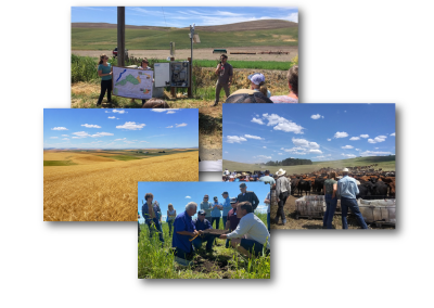 Transforming Agricultural Systems in the Palouse Region of the Intermountain West